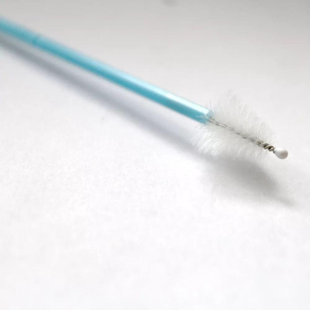 Lepoko eskuila HPV probarako