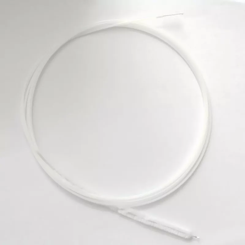 Duodenal Endoscopic Brush